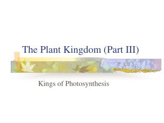 The Plant Kingdom (Part III)