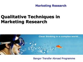 Qualitative Techniques in Marketing Research