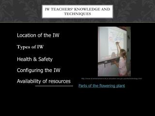 IW Teachers’ knowledge and techniques