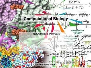 Computational Biology