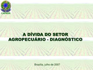 A DÍVIDA DO SETOR AGROPECUÁRIO - DIAGNÓSTICO