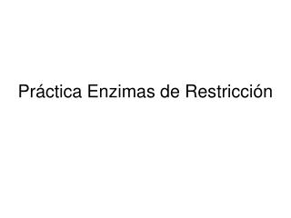 Práctica Enzimas de Restricción