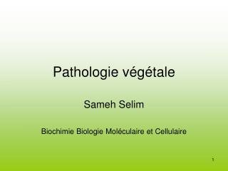 Pathologie végétale