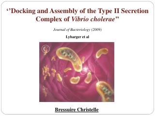 ‘’ Docking and Assembly of the Type II Secretion Complex of Vibrio cholerae ’’
