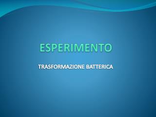 ESPERIMENTO
