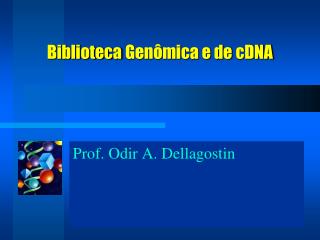Prof. Odir A. Dellagostin