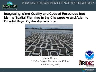 Nicole Carlozo NOAA Coastal Management Fellow October 29, 2013