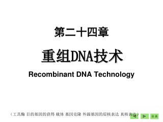 重组 DNA 技术 Recombinant DNA Technology