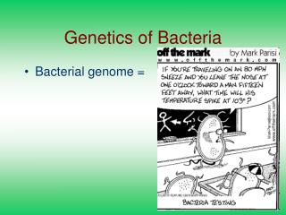 Genetics of Bacteria