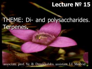 THEME: Di- and p olysaccharides . Terpenes .