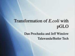 Transformation of E.coli with pGLO