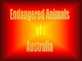 Endangered Animals of Australia