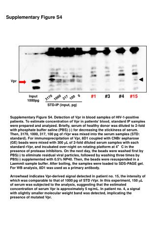 Supplementary Figure S4