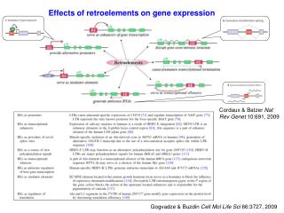 Effects of retroelements on gene expression