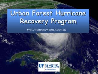 Urban Forest Hurricane Recovery Program