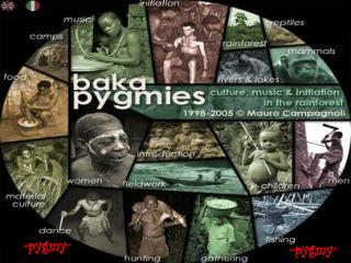 “ pygmy ”