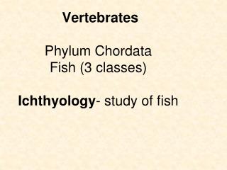 Vertebrates Phylum Chordata   Fish (3 classes)   Ichthyology - study of fish  