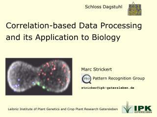 Correlation-based Data Processing and its Application to Biology
