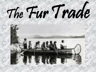 The Fur Trade