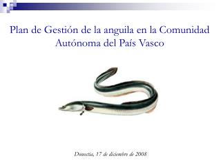 Plan de Gestión de la anguila en la Comunidad Autónoma del País Vasco