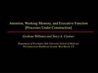 Attention, Working Memory, and Executive Function [Processes Under Construction]