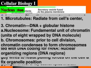 Cellular Biology I