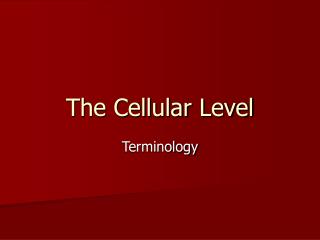 The Cellular Level