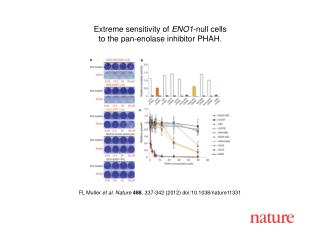 FL Muller et al. Nature 488 , 337-342 (2012) doi:10.1038/nature11331