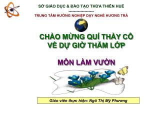 SỞ GIÁO DỤC &amp; ĐÀO TẠO THỪA THIÊN HUẾ ------------------- TRUNG TÂM HƯỚNG NGHIỆP DẠY NGHỀ HƯƠNG TRÀ