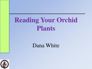 Reading Your Orchid Plants