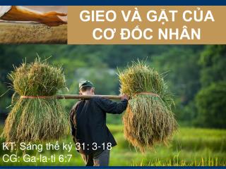 GIEO VÀ GẶT CỦA C Ơ ĐỐC NHÂN