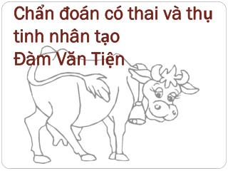 Chẩn đoán có thai và thụ tinh nhân tạo Đàm Văn Tiện