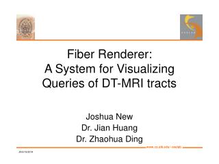 Fiber Renderer: A System for Visualizing Queries of DT-MRI tracts