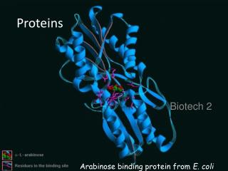 Proteins