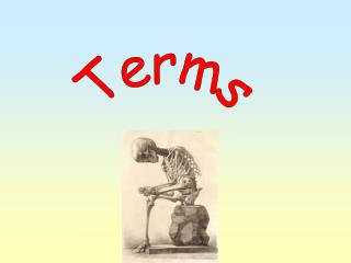 Terms