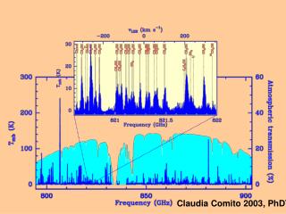 Claudia Comito 2003, PhDT