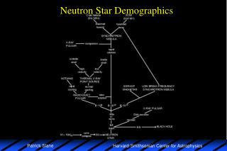 Neutron Star Demographics