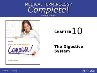 The Digestive System