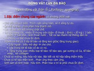 ĐỘNG VẬT CẬN ĐA BÀO