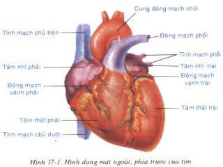 KIỂM TRA BÀI CŨ