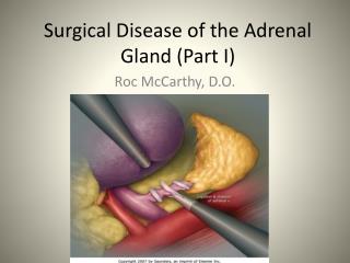 Surgical Disease of the Adrenal Gland (Part I)