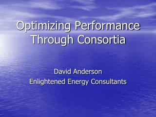 Optimizing Performance Through Consortia