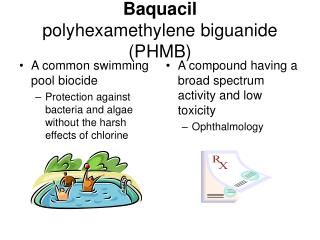 Baquacil polyhexamethylene biguanide (PHMB)