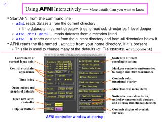 Using AFNI Interactively — More details than you want to know