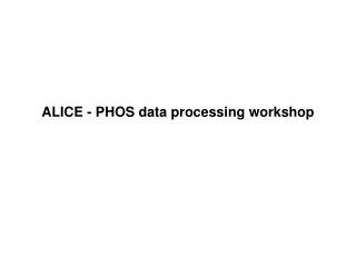 ALICE - PHOS data processing workshop