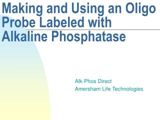 Making and Using an Oligo Probe Labeled with Alkaline Phosphatase