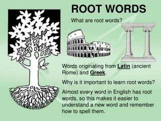 ROOT WORDS