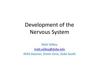 Development of the Nervous System