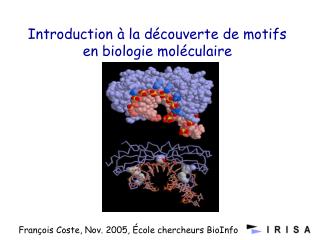 Introduction à la découverte de motifs en biologie moléculaire