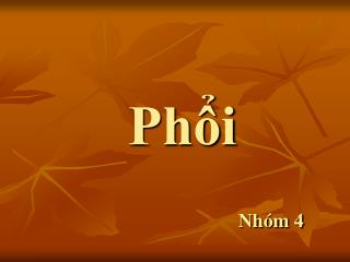 Phổi